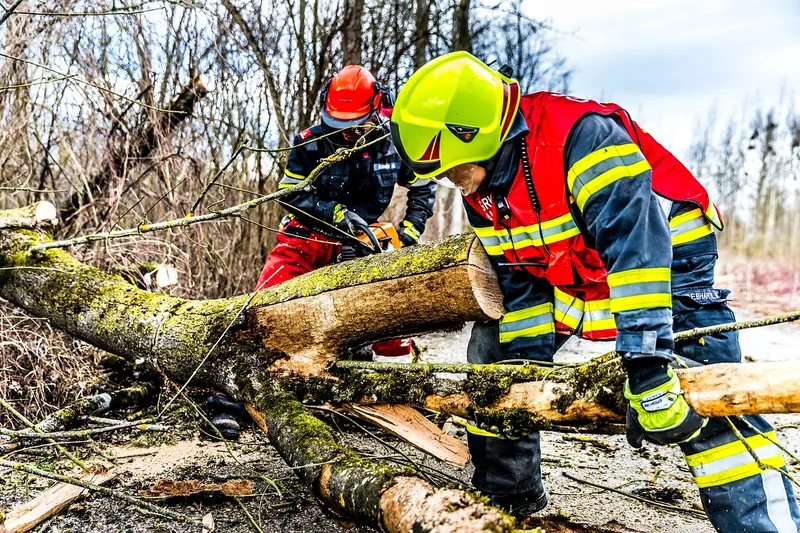 Emergency Storm Cleanup in Long Island, NY